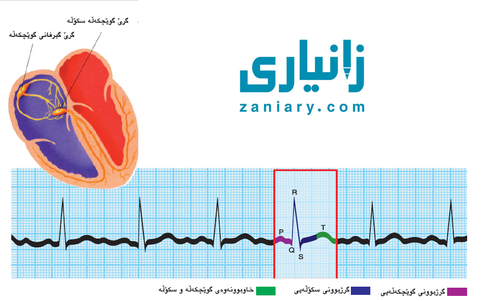 گەورەترین پلاتفۆرمی تایبەت زانیاری