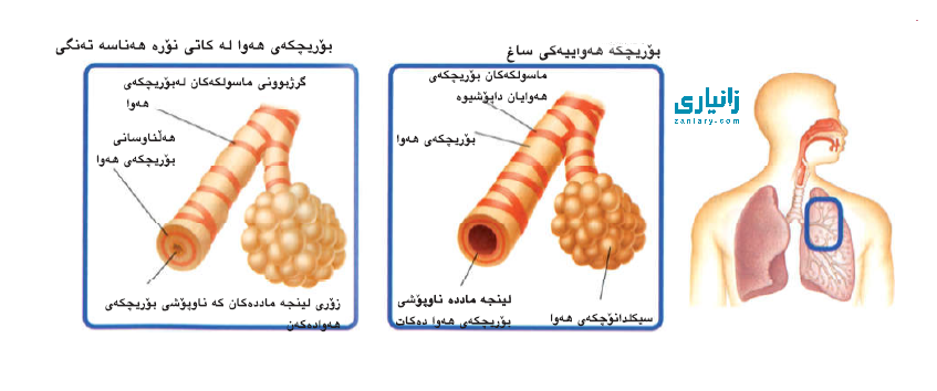 گەورەترین پلاتفۆرمی تایبەت زانیاری