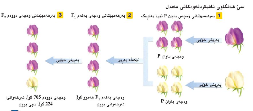 گەورەترین پلاتفۆرمی تایبەت زانیاری