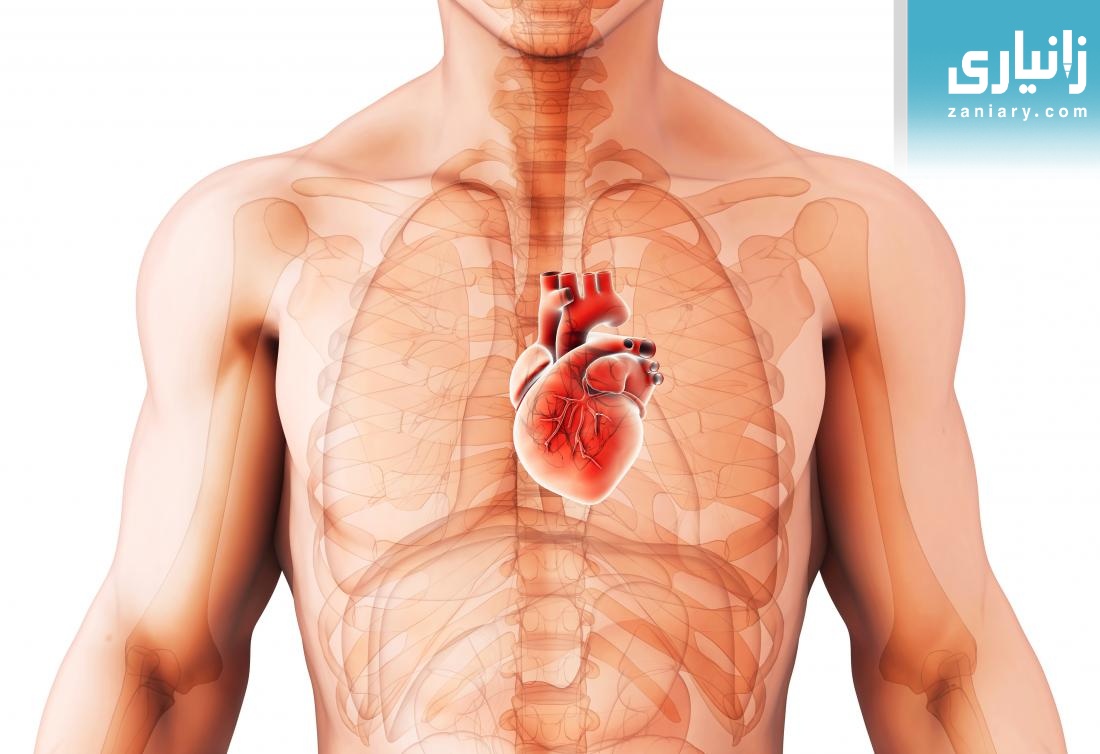 داماوی دڵ (heart failure)