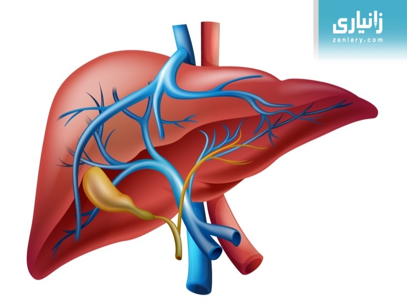 کیسەی زراو چییە؟