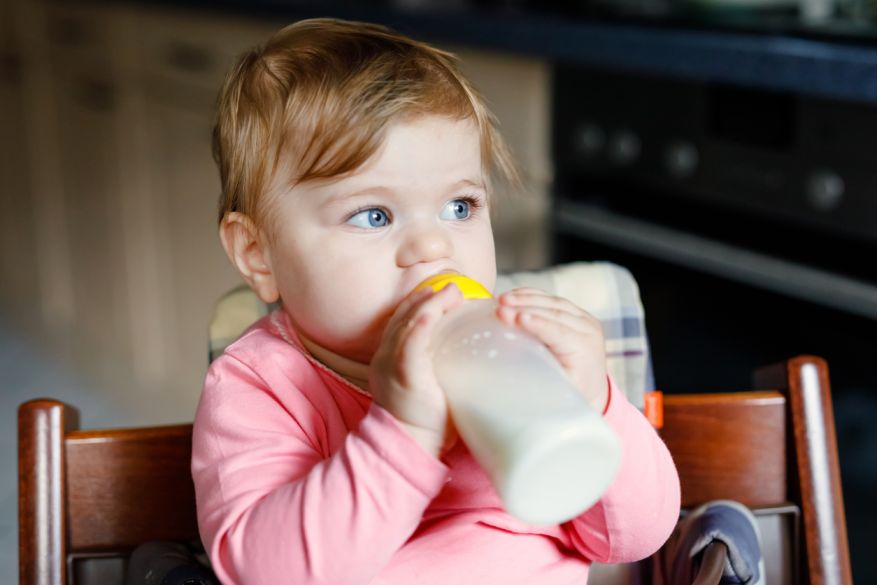 ئایا شیری قوتوو منداڵ قەڵەو دەکات؟
