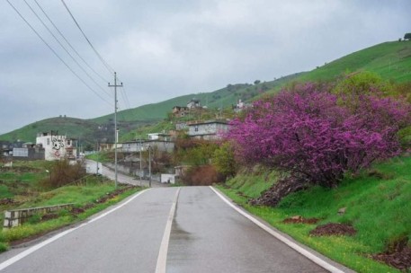 گەورەترین پلاتفۆرمی تایبەت زانیاری