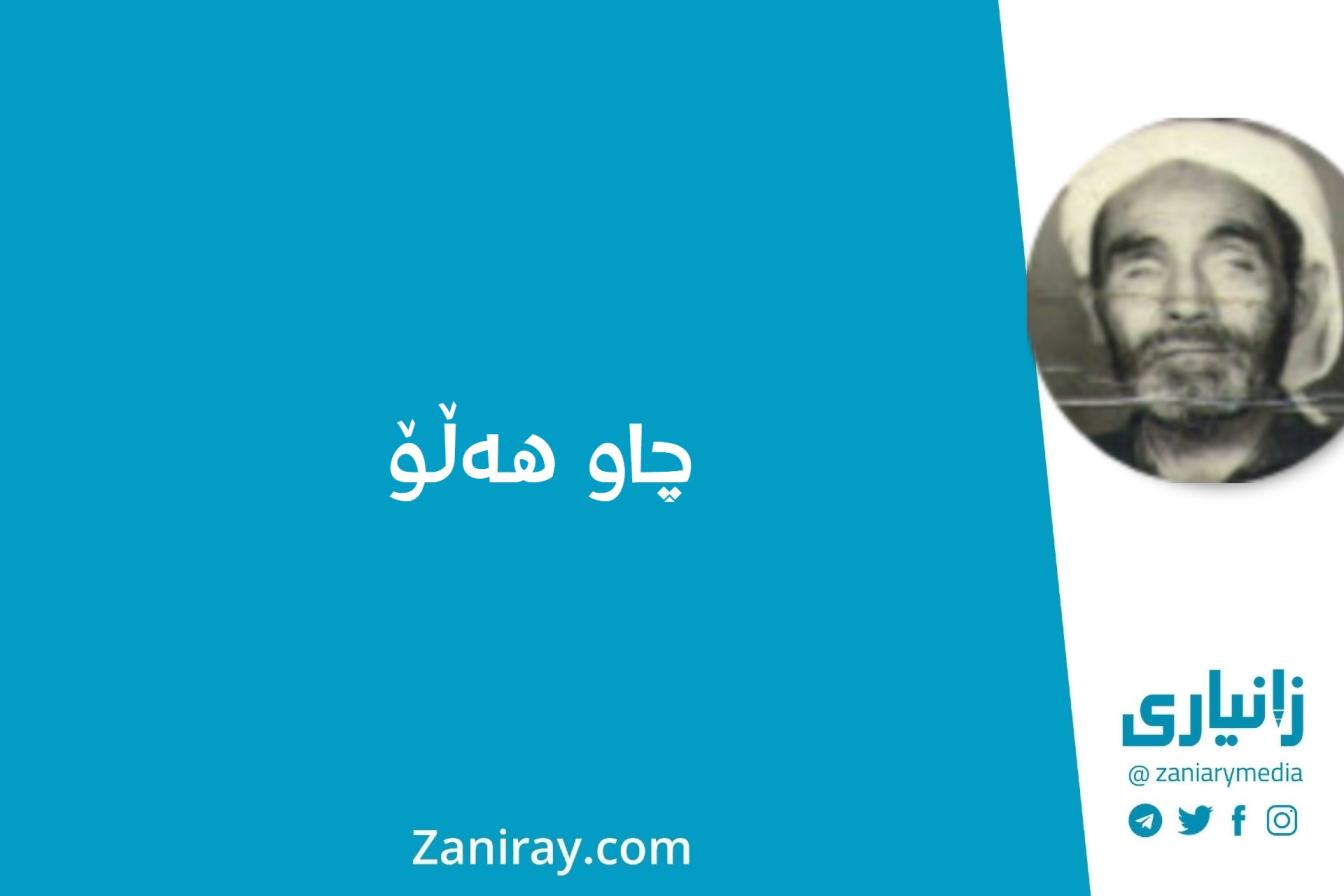 چاو هەڵۆ - ئەفزاری