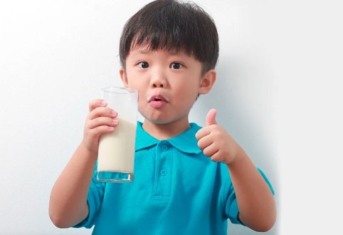 سوودی خواردنەوەی شیر لە بەیانیاندا چییە؟