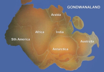 گۆندوانا