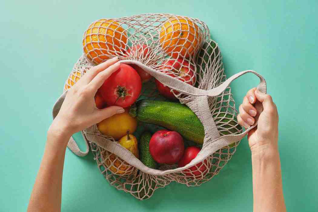 ڕووەکخۆری چییە؟