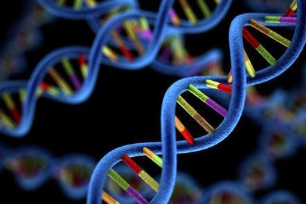 ئایا (DNA) تەنها لە ناوکی خانەدا بوونی هەیە؟