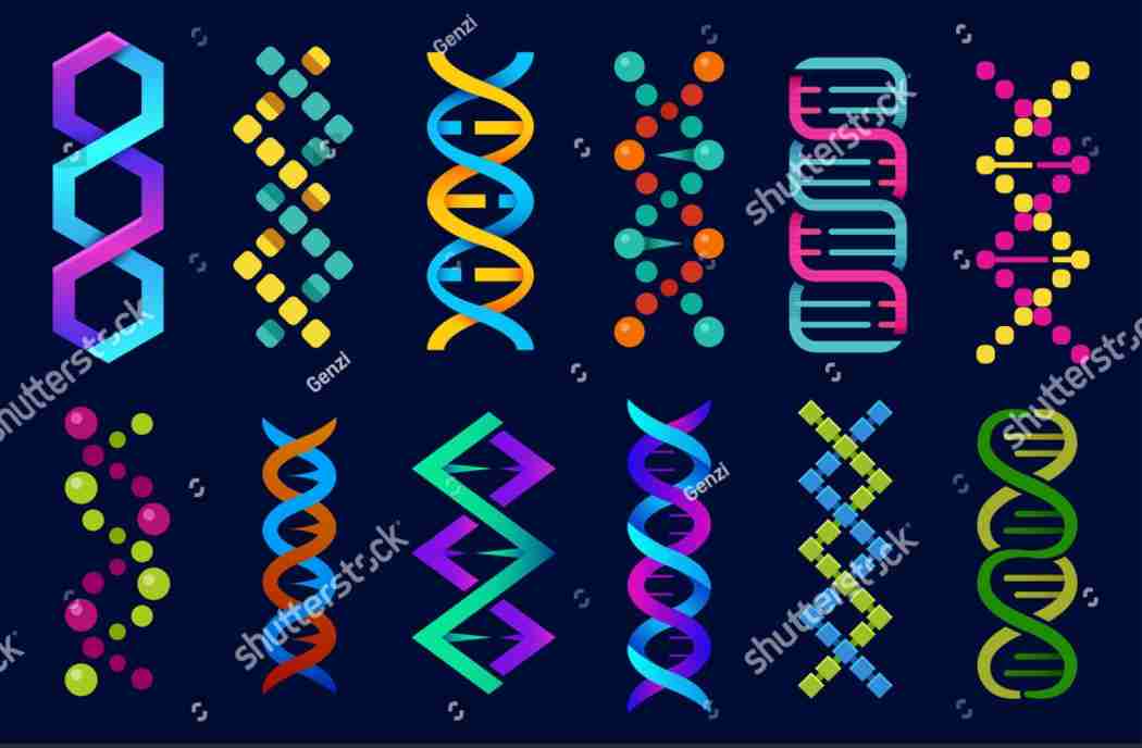 شێوە-جیاوازەکانی-DNA
