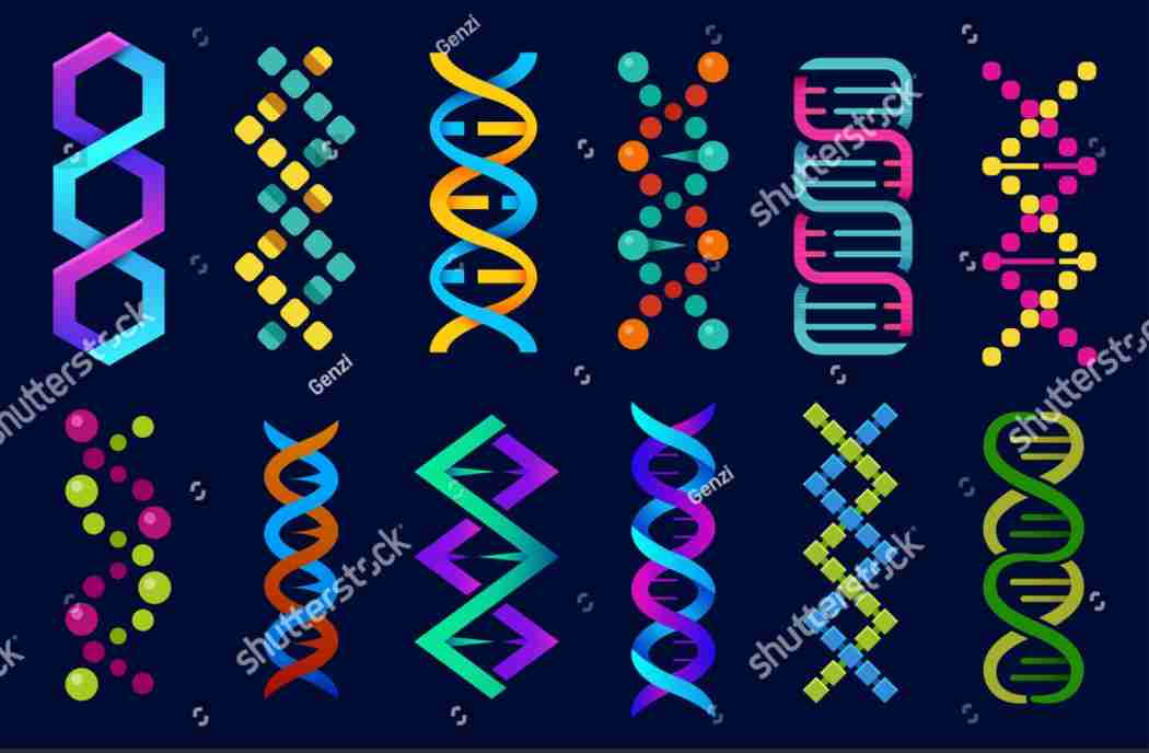 شێوە جیاوازەکانی DNA