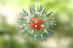 ڤایرۆسی ئیپستن باڕ