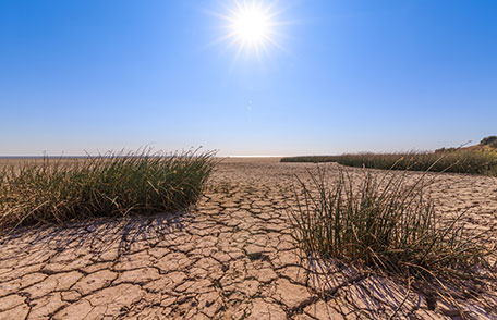 مەترسییەکانی وشکەساڵی