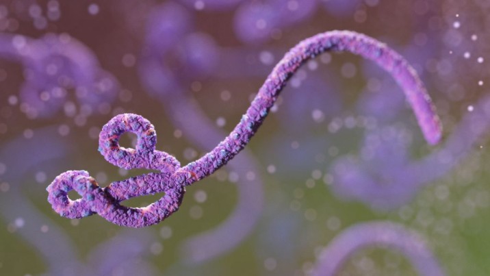ڤایرۆسی ئیبۆلا