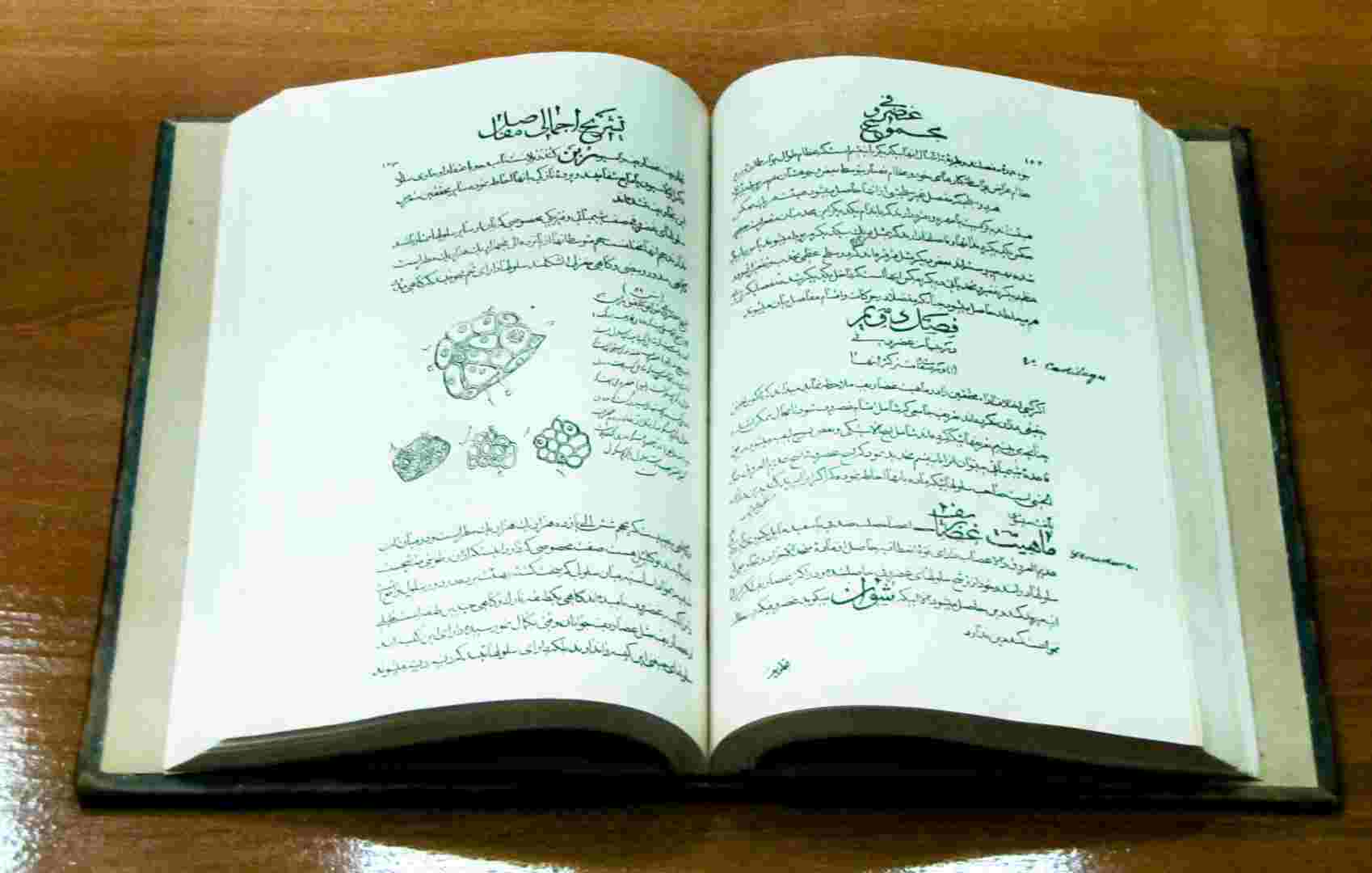 پەرتووکی یاسا لە پزیشکیدا