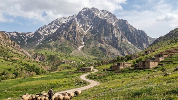 چیای ئاوازنێ