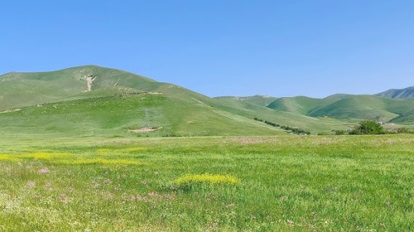 گوندی بامۆک